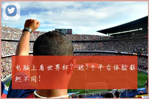 电脑上看世界杯？这5个平台体验截然不同！