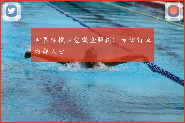 世界杯投注金额全解析：专访行业内部人士