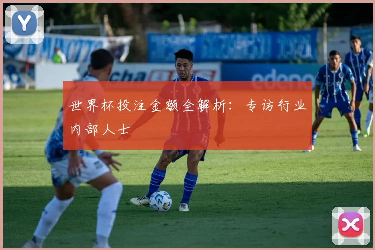 世界杯投注金额全解析：专访行业内部人士