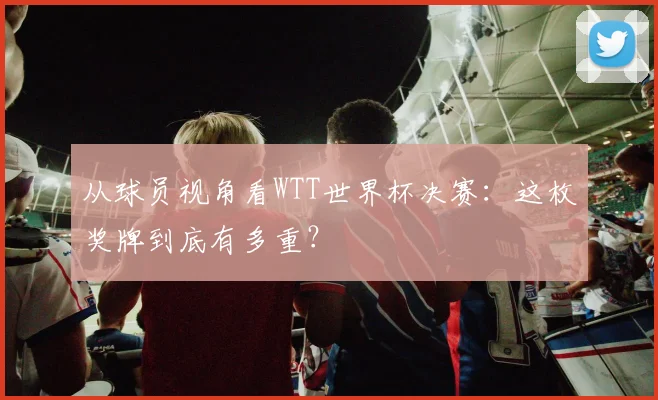 从球员视角看WTT世界杯决赛：这枚奖牌到底有多重？