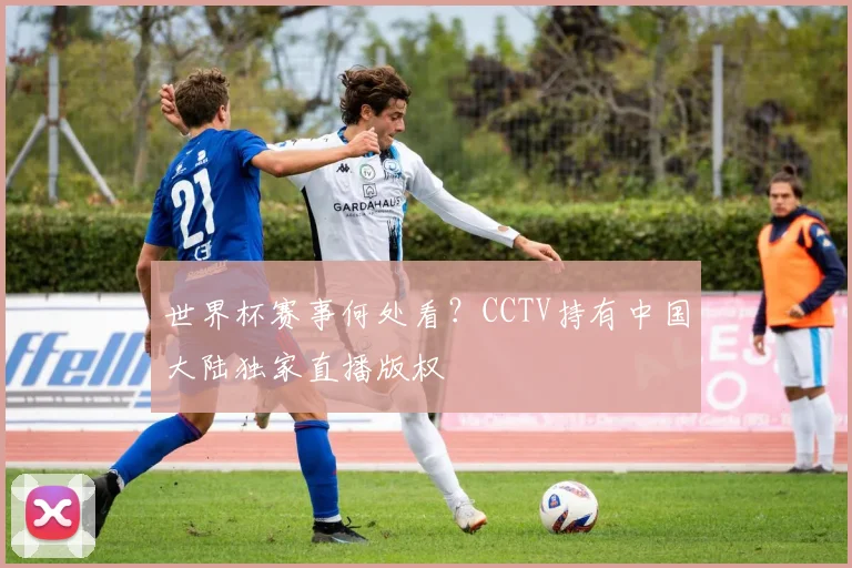 世界杯赛事何处看？CCTV持有中国大陆独家直播版权
