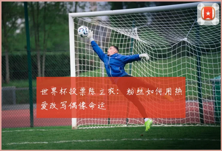 世界杯投票陈立农：粉丝如何用热爱改写偶像命运