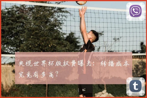 央视世界杯版权费曝光：转播成本究竟有多高？