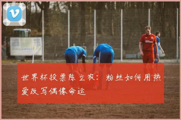 世界杯投票陈立农：粉丝如何用热爱改写偶像命运